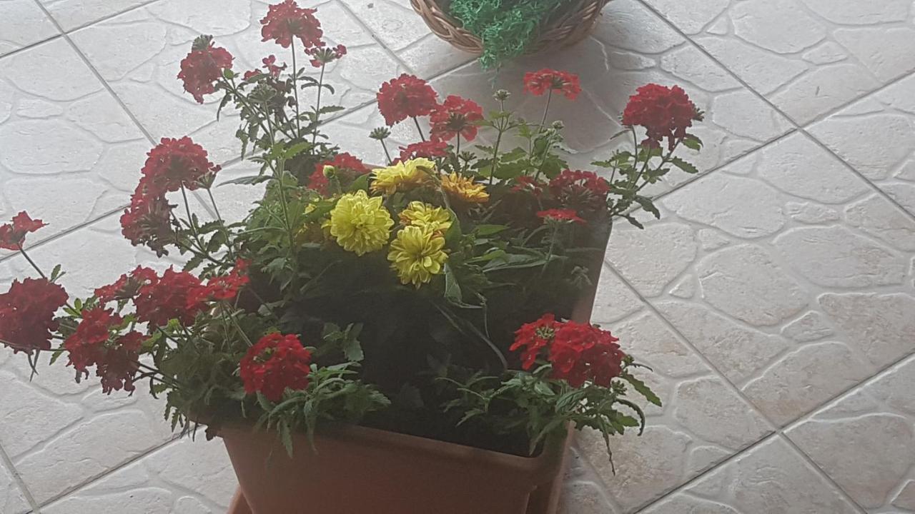 קראפינסקה טופליצה Apartmani Ksenija מראה חיצוני תמונה